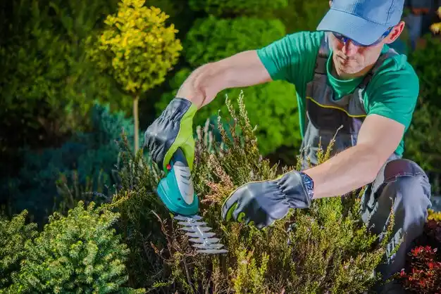 landscaping services North Kansas City